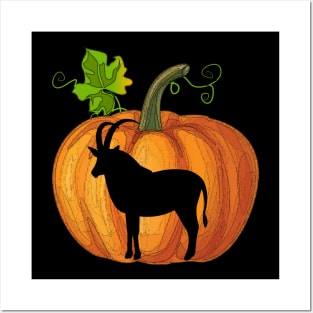 Antelope in pumpkin Posters and Art